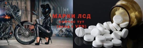 ПСИЛОЦИБИНОВЫЕ ГРИБЫ Лагань