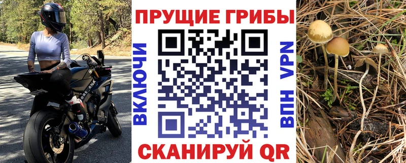 Псилоцибиновые грибы MAGIC MUSHROOMS  цена   Сасово 